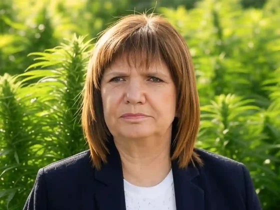 Patricia Bullrich confirmó que darán de baja los permisos para cultivar marihuana: "Se ha convertido en una droga muy peligrosa"