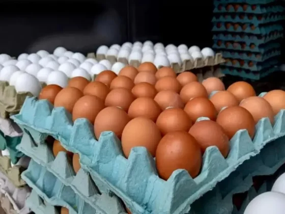 El truco casero para conservar los huevos frescos por más tiempo