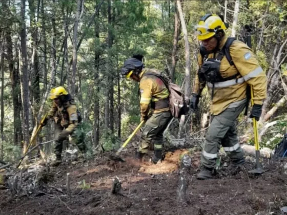 Continúa la cooperación de Salta en el combate de incendios forestales en Río Negro