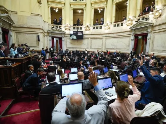 El jueves el Senado debate la suspensión del PASO y el viernes trataría el pliego de Lijo a la Corte