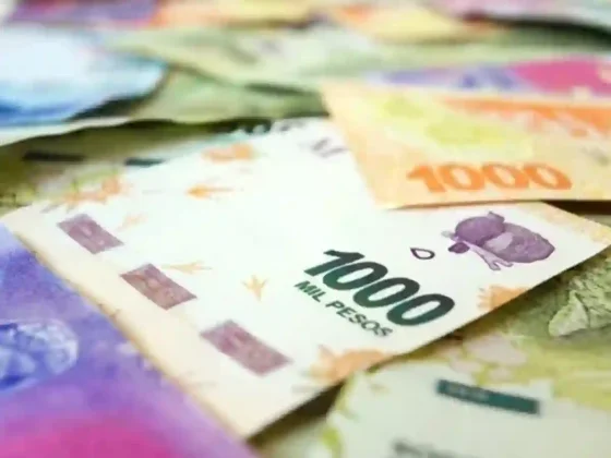 Ayuda económica: Anses entrega $292.000 a desempleados desde el 20 de febrero
