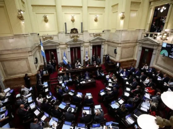 Mañana sesionará el Senado para intentar suspender las PASO de este año