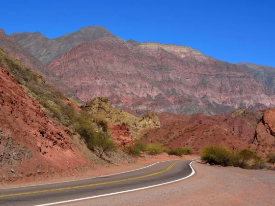 Así están hoy las rutas en Salta