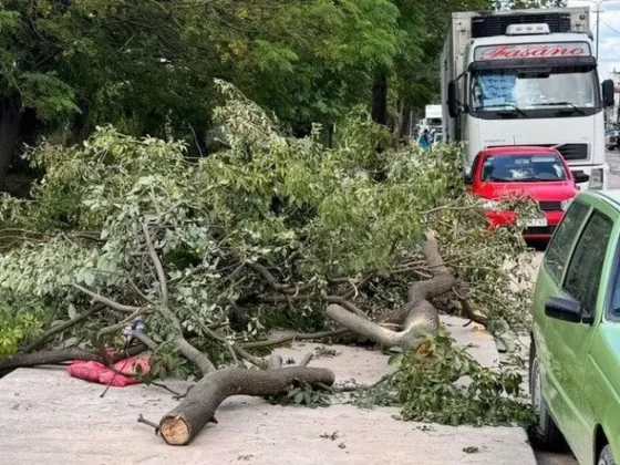Así quedó Salvador Mazza después del temporal