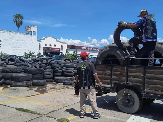 Tras el 10° Neumatón, se superaron las 700 toneladas recolectadas