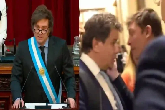 Milei acusó a Facundo Manes de “mentiroso” y aseguró que el diputado no fue agredido en el Congreso