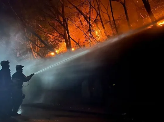 Japón lucha contra los peores incendios forestales en medio siglo