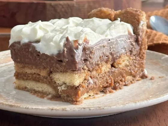 Para la hora del postre: torta fría de vainillas y chocolate