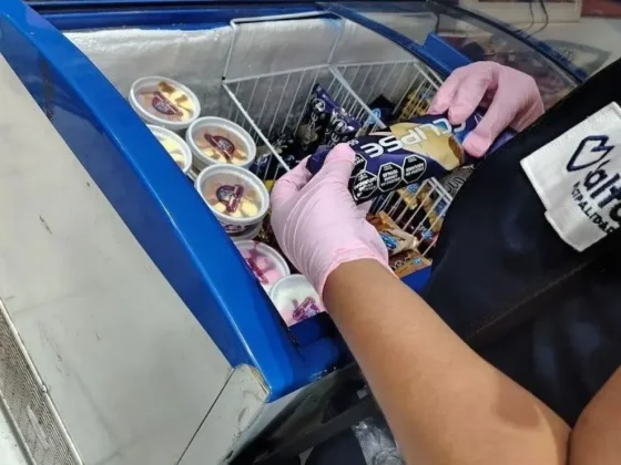 Se realizaron 117 operativos en heladerías y 307 inspecciones en carpas y boliches