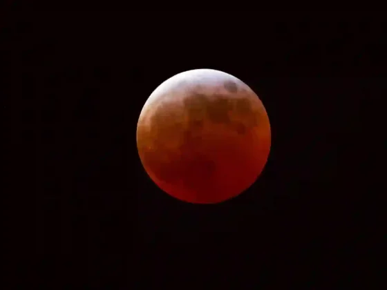 Eclipse total: así se vio la luna roja durante la madrugada en la Argentina