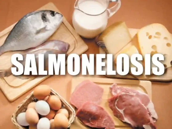 En diez semanas hubo solo 12 casos de salmonella