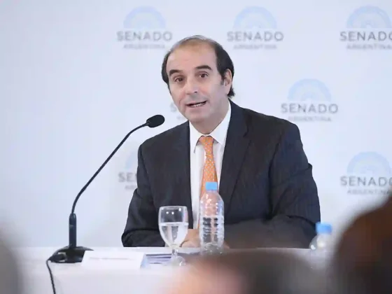 Senado: la oposición rechaza el pliego de García-Mansilla por contradicciones en su postulación