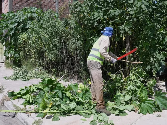 La Municipalidad de Salta limpió un baldío en mal estado en el barrio Miguel Ortiz