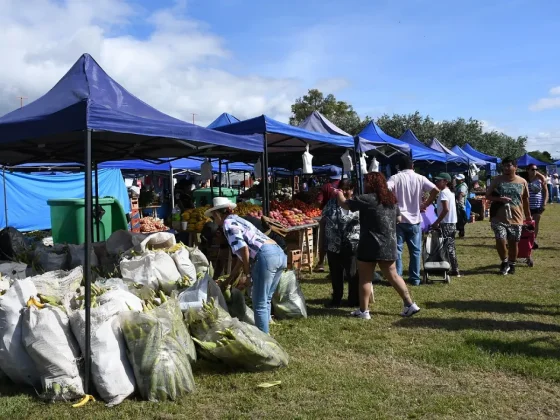 Mañana “El mercado en tu barrio” estará en la Universidad Nacional de Salta