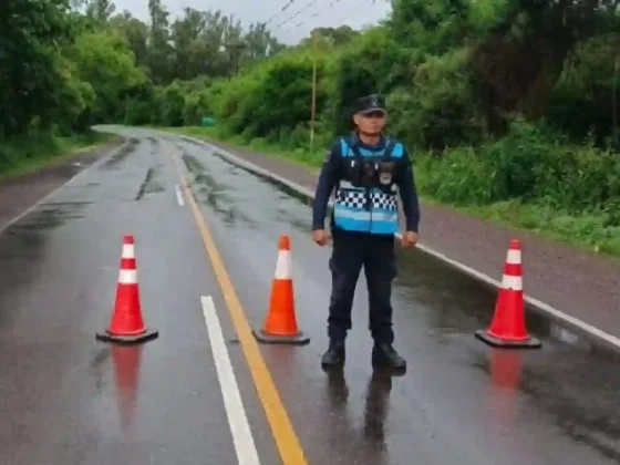 Estado de las rutas en Salta: hoy, 27 de marzo