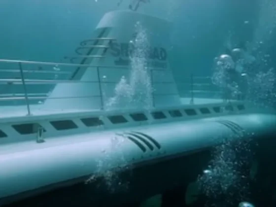 Se hundió un submarino con 45 turistas a bordo en el mar Rojo: al menos seis muertos