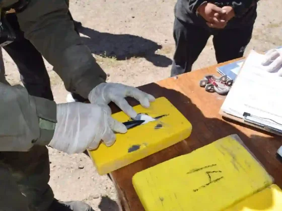 Desarticularon una banda narco en Cafayate; hay cinco detenidos