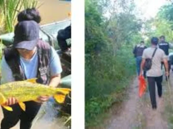 Salta: detectan pesca ilegal, liberan 50 bogas y multan a 8 personas