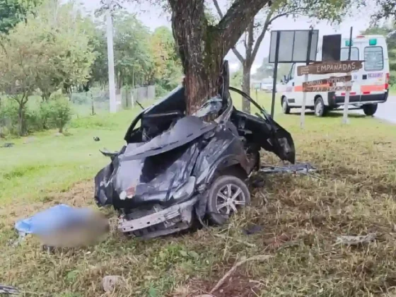 ¡URGENTE! Chocó contra un árbol y perdió la vida