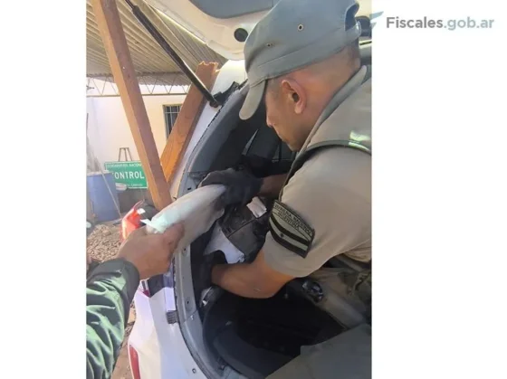 Empleado de la justicia provincial es imputado y encarcelado por el transporte de 23 kilos de marihuana