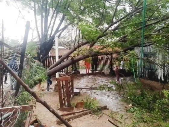 BRUTAL: Tartagal, Mosconi, Aguaray y Salvador Mazza, golpeados por el viento y la lluvia