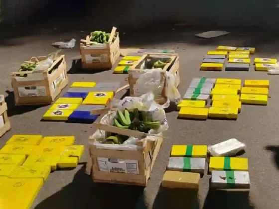 Salieron de Salta con más de 150 kilos de cocaína escondidas en un cargamento de bananas