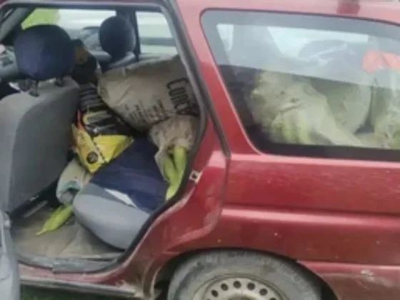 Robaron una finca en Cerrillos y los atraparon con el auto lleno de choclos
