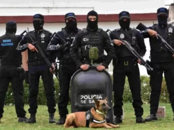 Más de 290 kilos de droga fueron decomisados por la Policía de Salta
