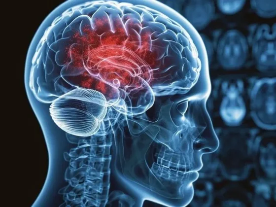 Científicos descubren la edad en la que el cerebro sufre un mayor deterioro