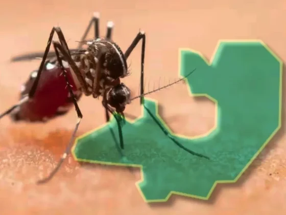 Confirman tres nuevos casos de dengue en Salta