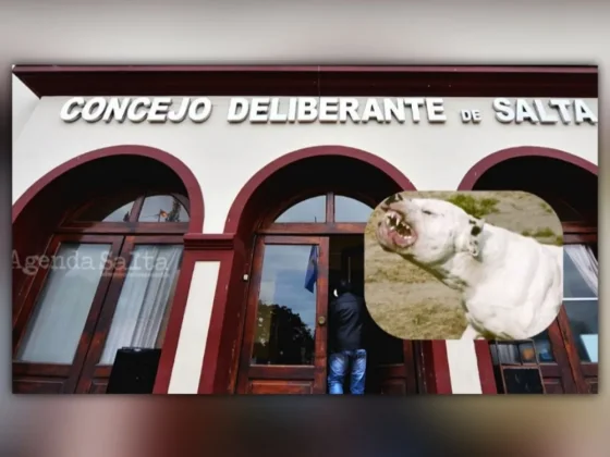 Razas peligrosas: “Creo que no le estamos dando en el clavo con este tipo de problemas”