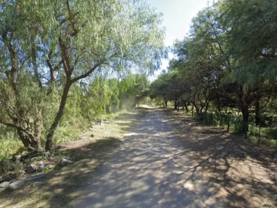 HORROR: un jubilado quiso sacar un enjambre de abejas y murió aplastado por una montaña de piedras