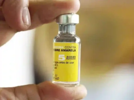 La fiebre amarilla preocupa a la OPS: a quiénes se les recomienda vacunarse