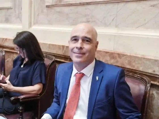 Senado: el oficialismo evalúa suspender la sesión de Ficha Limpia