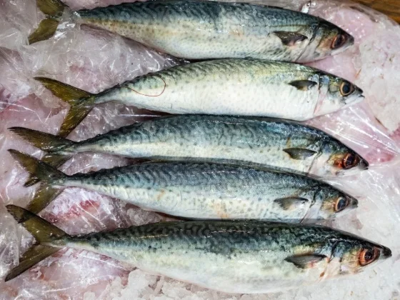 Conocé cuales son los precios del pescado para esta Cuaresma