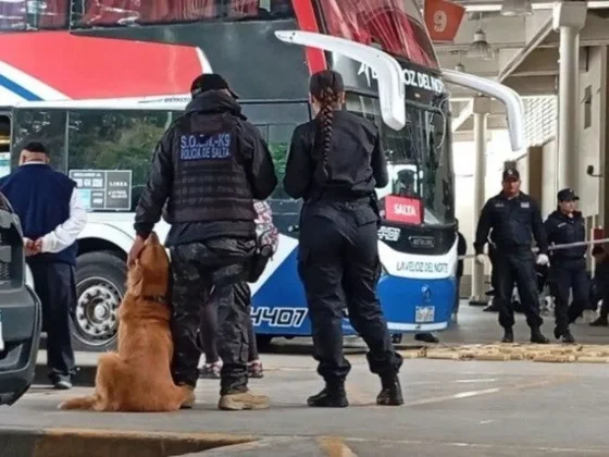 En un operativo sorpresa en la terminal de Salta detectaron droga en un colectivo de La Veloz del Norte