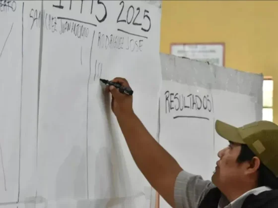 Representantes originarios eligieron a los integrantes del Consejo Directivo del IPPIS