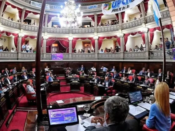 El Senado bonaerense votó a favor de la suspensión de las PASO