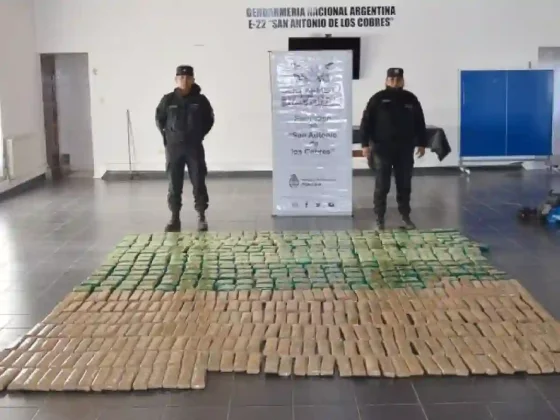 Golpe al contrabando: Secuestran más de 150 kilos de hojas de coca en Salta