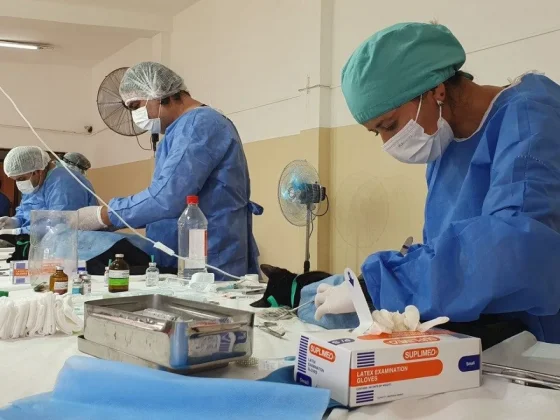 Este viernes habrá una castración masiva en el barrio 20 de Febrero