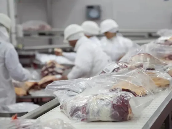 Las exportaciones de carne vacuna tuvieron una fuerte caída en el primer trimestre del año