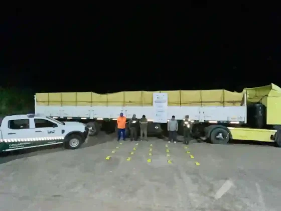 Soja y droga: camión transportaba cocaína entre su carga