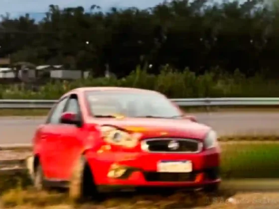 Caballos sueltos casi causan una tragedia en la Circunvalación Oeste