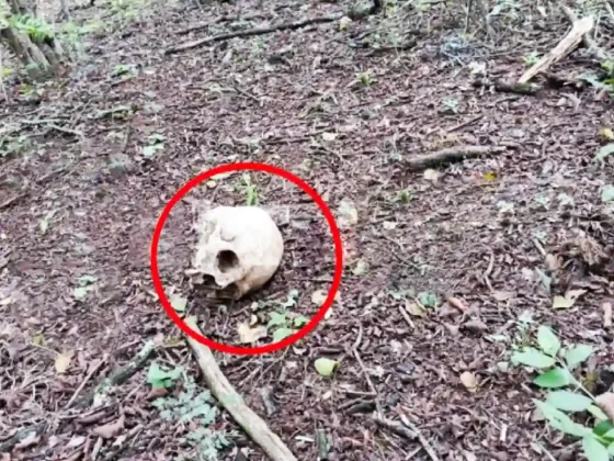 Hallazgo perturbador: encontraron restos óseos humanos en El Bordo