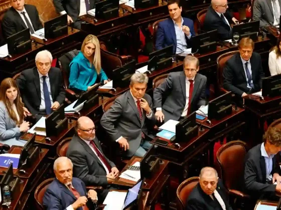 El Senado homenajea al papa Francisco tras aplazar Ficha Limpia