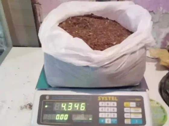 De ladrón a narco: le allanaron la casa por un robo y se toparon con 9 kilos de faso