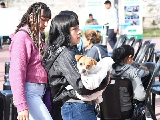 La Municipalidad de Salta realizó una jornada de castración masiva en el barrio 20 de Febrero