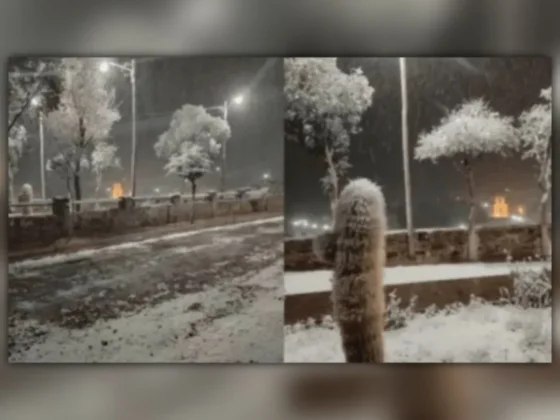 Sorpresa en Jujuy: la nieve pintó de romance el norte argentino