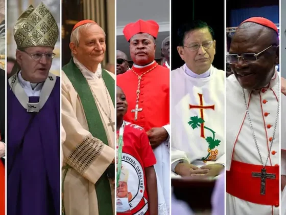La elección del sucesor del papa Francisco: ¿habrá una continuidad o un cambio?