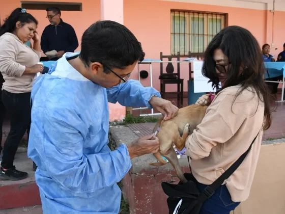 Continúa la campaña gratuita de vacunación antirrábica y desparasitación